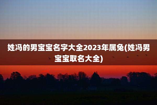 姓冯的男宝宝名字大全2023年属兔(姓冯男宝宝取名大全)