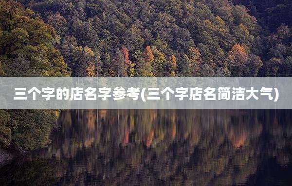 三个字的店名字参考(三个字店名简洁大气)
