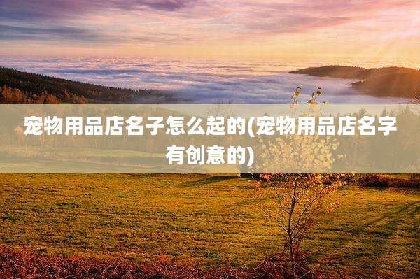 宠物用品店名子怎么起的(宠物用品店名字有创意的)