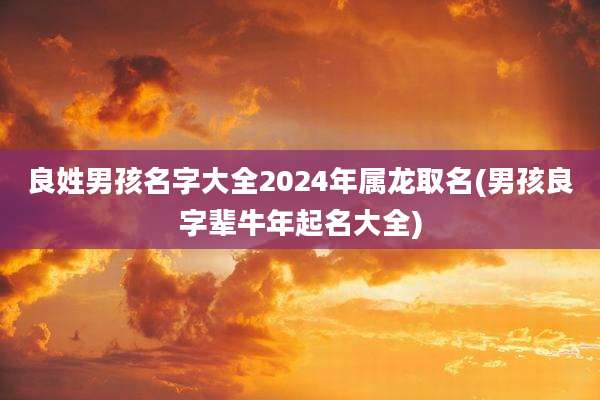良姓男孩名字大全2024年属龙取名(男孩良字辈牛年起名大全)