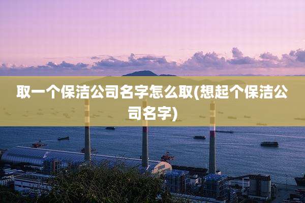 取一个保洁公司名字怎么取(想起个保洁公司名字)