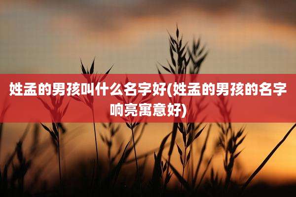 姓孟的男孩叫什么名字好(姓孟的男孩的名字响亮寓意好)
