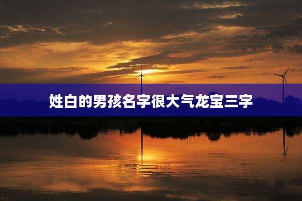 姓白的男孩名字很大气龙宝三字