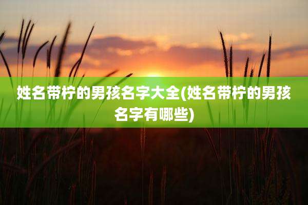 姓名带柠的男孩名字大全(姓名带柠的男孩名字有哪些)