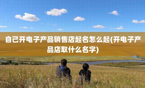 自己开电子产品销售店起名怎么起(开电子产品店取什么名字)