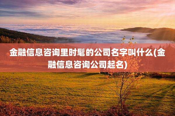 金融信息咨询里时髦的公司名字叫什么(金融信息咨询公司起名)