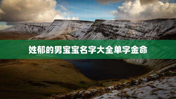 姓郁的男宝宝名字大全单字金命