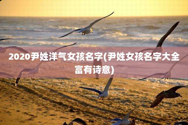 2020尹姓洋气女孩名字(尹姓女孩名字大全富有诗意)