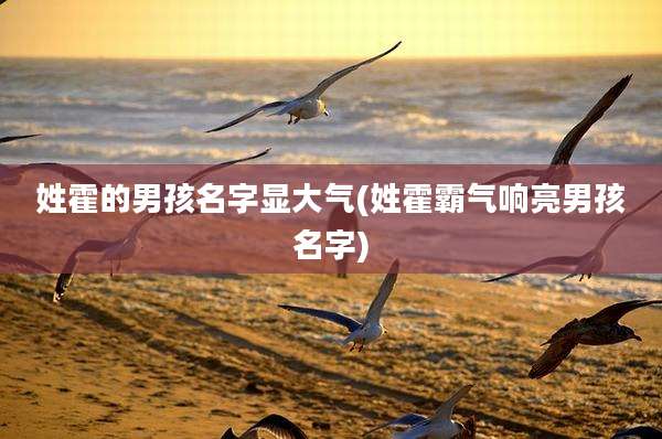 姓霍的男孩名字显大气(姓霍霸气响亮男孩名字)