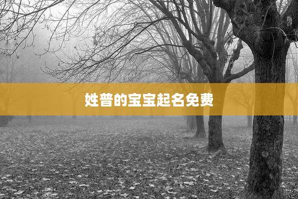 姓普的宝宝起名免费