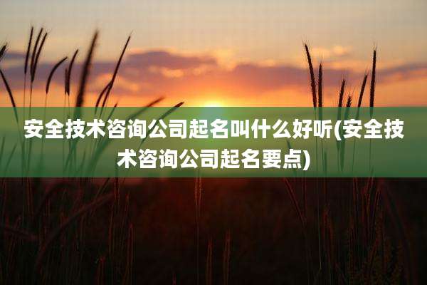 安全技术咨询公司起名叫什么好听(安全技术咨询公司起名要点)
