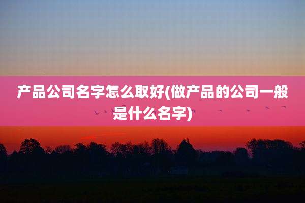 产品公司名字怎么取好(做产品的公司一般是什么名字)