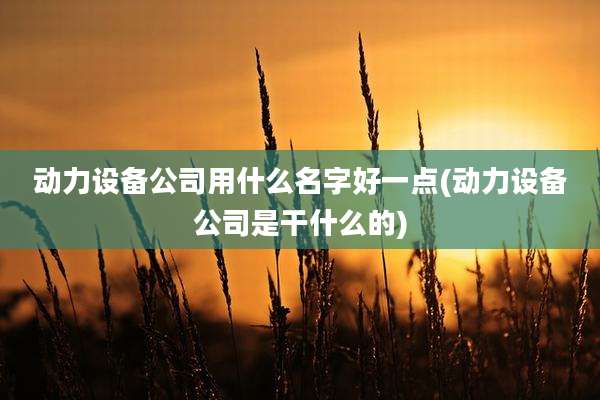 动力设备公司用什么名字好一点(动力设备公司是干什么的)