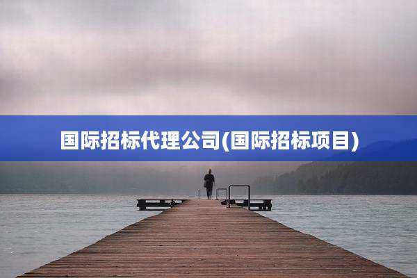 国际招标代理公司(国际招标项目)
