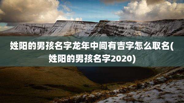 姓阳的男孩名字龙年中间有吉字怎么取名(姓阳的男孩名字2020)