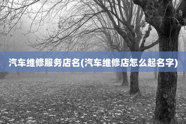 汽车维修服务店名(汽车维修店怎么起名字)
