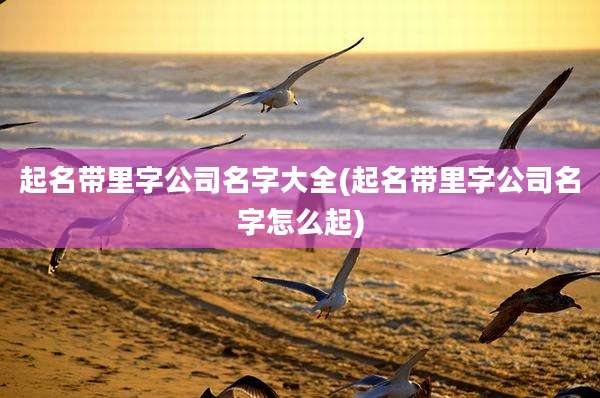 起名带里字公司名字大全(起名带里字公司名字怎么起)