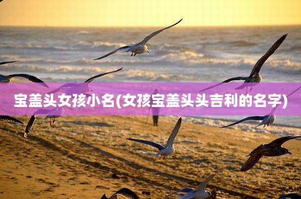 宝盖头女孩小名(女孩宝盖头头吉利的名字)