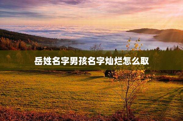 岳姓名字男孩名字灿烂怎么取