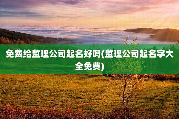 免费给监理公司起名好吗(监理公司起名字大全免费)