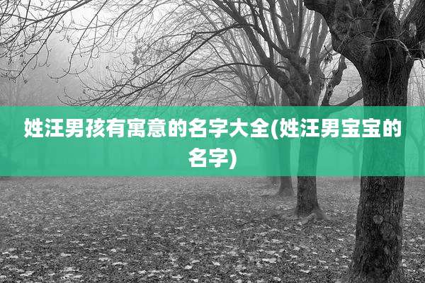 姓汪男孩有寓意的名字大全(姓汪男宝宝的名字)