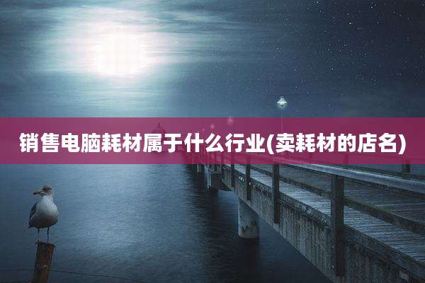 销售电脑耗材属于什么行业(卖耗材的店名)