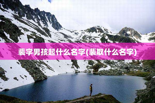 裴字男孩起什么名字(裴取什么名字)