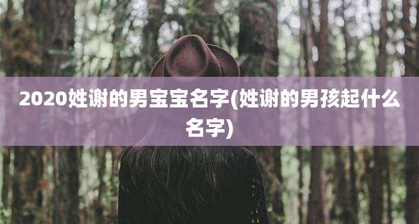 2020姓谢的男宝宝名字(姓谢的男孩起什么名字)
