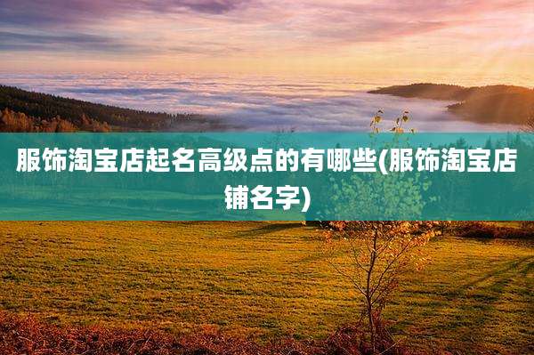 服饰淘宝店起名高级点的有哪些(服饰淘宝店铺名字)