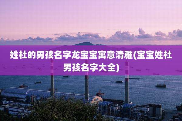 姓杜的男孩名字龙宝宝寓意清雅(宝宝姓杜男孩名字大全)