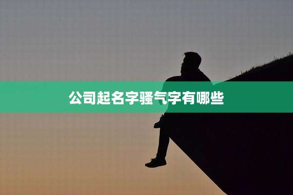 公司起名字骚气字有哪些