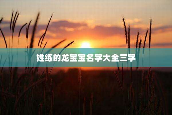 姓练的龙宝宝名字大全三字