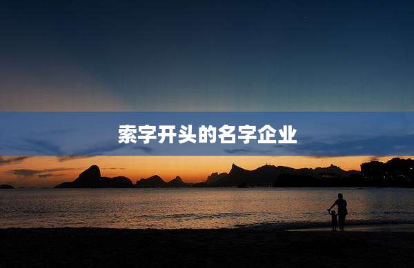 索字开头的名字企业