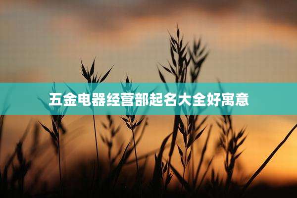 五金电器经营部起名大全好寓意
