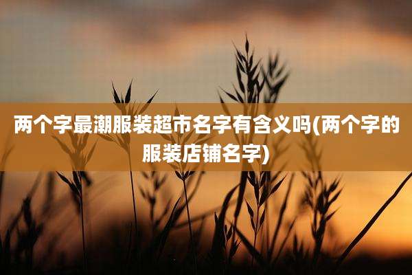 两个字最潮服装超市名字有含义吗(两个字的服装店铺名字)