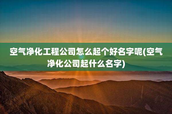 空气净化工程公司怎么起个好名字呢(空气净化公司起什么名字)