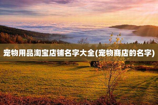 宠物用品淘宝店铺名字大全(宠物商店的名字)