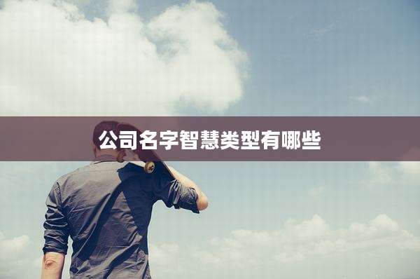公司名字智慧类型有哪些