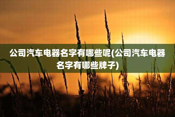 公司汽车电器名字有哪些呢(公司汽车电器名字有哪些牌子)