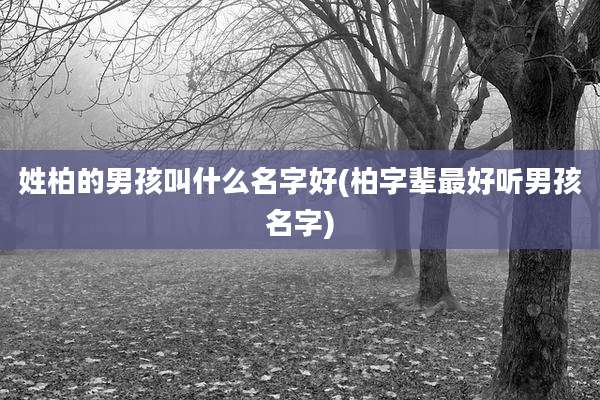 姓柏的男孩叫什么名字好(柏字辈最好听男孩名字)