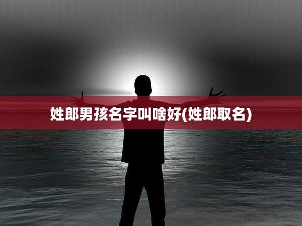 姓郎男孩名字叫啥好(姓郎取名)