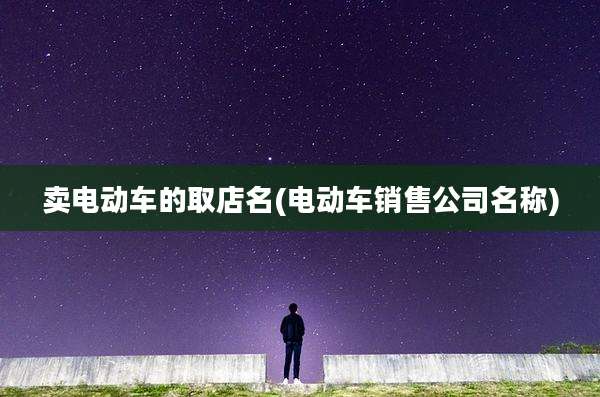卖电动车的取店名(电动车销售公司名称)