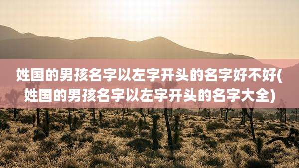 姓国的男孩名字以左字开头的名字好不好(姓国的男孩名字以左字开头的名字大全)