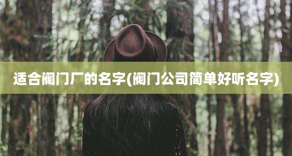 适合阀门厂的名字(阀门公司简单好听名字)