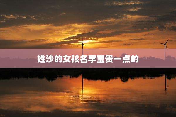 姓沙的女孩名字宝贵一点的