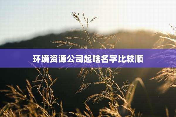 环境资源公司起啥名字比较顺