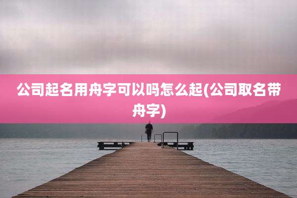 公司起名用舟字可以吗怎么起(公司取名带舟字)