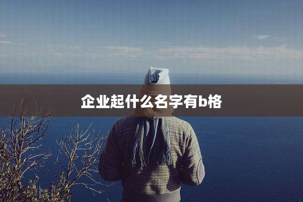 企业起什么名字有b格
