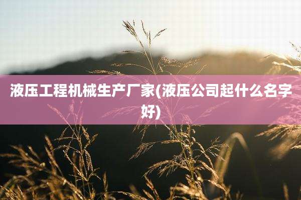 液压工程机械生产厂家(液压公司起什么名字好)