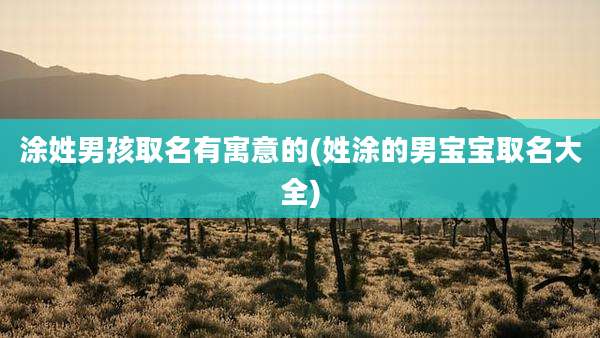 涂姓男孩取名有寓意的(姓涂的男宝宝取名大全)